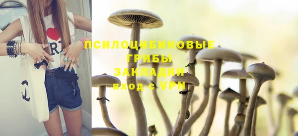 индика Магадан