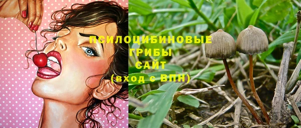 тгк Болотное