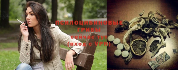 амф Болохово